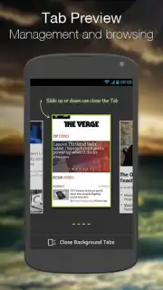 Next Browser captura 4