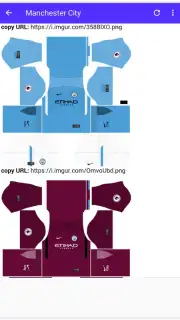 DLS Kits captura 3