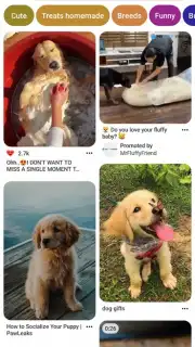 Pinterest captura 3