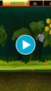 Rush In Jungle captura 1