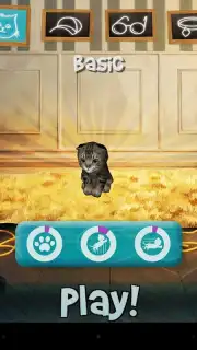 Cat Simulator captura 2