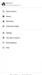 Google App captura 4
