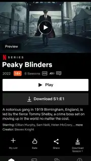 Netflix (Android TV) captura 11