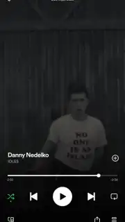Spotify captura 9