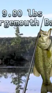 i Fishing 3 Lite captura 6