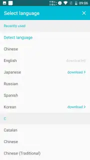 Youdao Translate captura 6