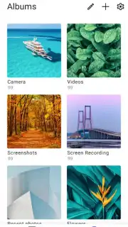 vivo Gallery captura 2