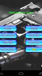 Guns captura 1