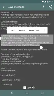 Java Programs captura 2
