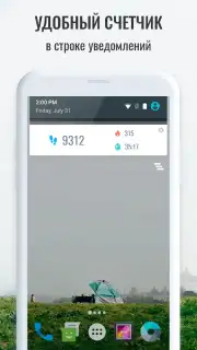 Pedometer captura 1