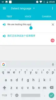 Youdao Translate captura 8