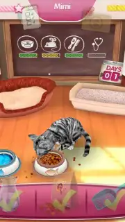 CatHotel captura 7