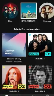 Spotify Lite captura 9