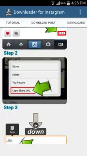 Video Downloader for Instagram captura 7