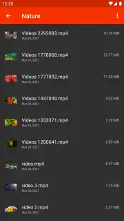 Video Player captura 6