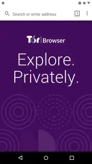 Tor Browser Alpha captura 7