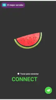 VPN Melon captura 1
