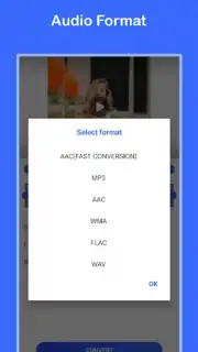 Video to MP3 Convert captura 4