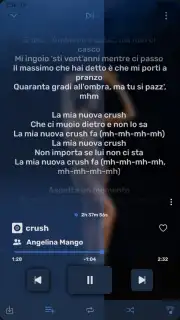 RiMusic captura 4