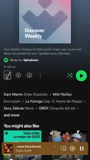 Spotify captura 12