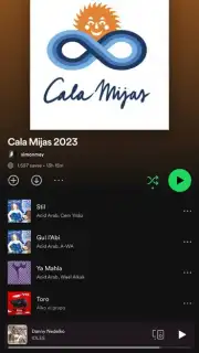 Spotify captura 10