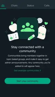 WhatsApp Messenger captura 29