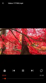Video Player captura 5