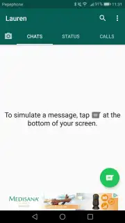 Fake Chat Whatsapp captura 2