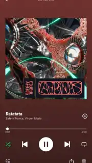 Spotify captura 7