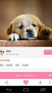 We Heart It captura 3