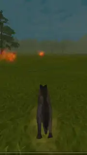 WildCraft captura 2