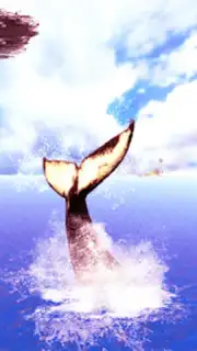The Humpback Whales captura 14