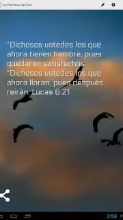 Promesas captura 3