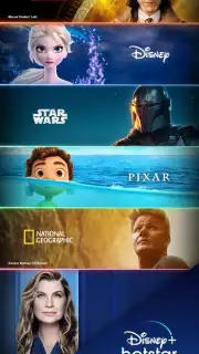 Disney+ Hotstar (Android TV) captura 15