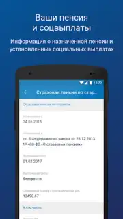 ПФР Электронные сервисы captura 2