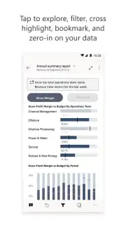 Microsoft Power BI captura 3