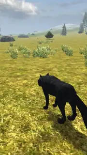 Wild Life: Wolf Clan captura 3