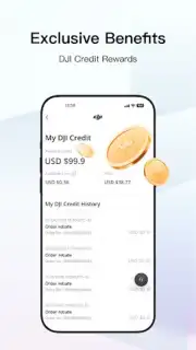 DJI Store captura 3