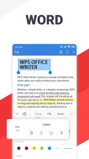 WPS Office captura 13