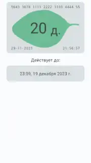 Баланс проездного captura 3
