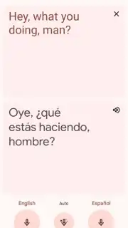 Google Translate captura 12