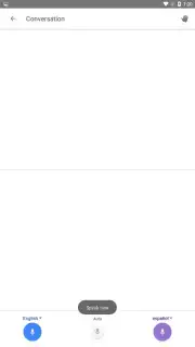 Google Translate captura 5