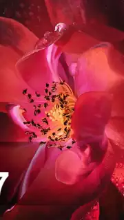 Oppo F7 Launcher - Themes and Wallpapers captura 2