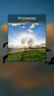 Promesas captura 9