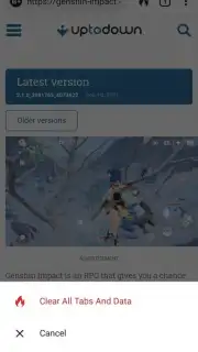DuckDuckGo Private Browser captura 8