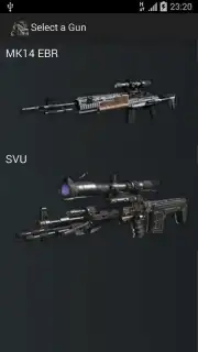 Gun Camera captura 17