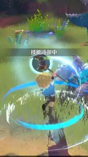 KARIZ captura 2