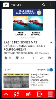 MiniTube captura 2