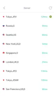 SGreen VPN captura 2