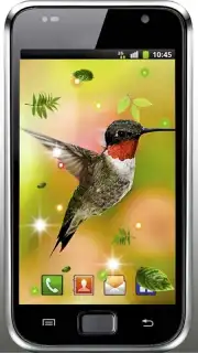Colibri Spring 3D LWP captura 2